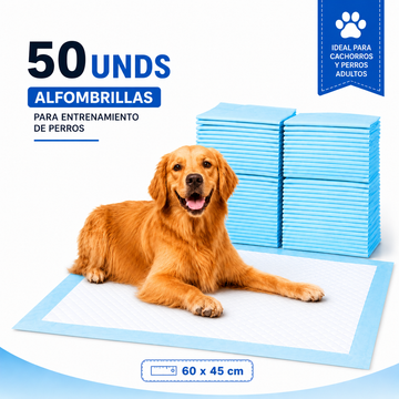 Pañal para perro 50pcs