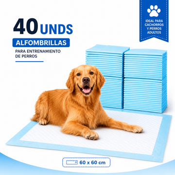 Pañal absorbente para perro