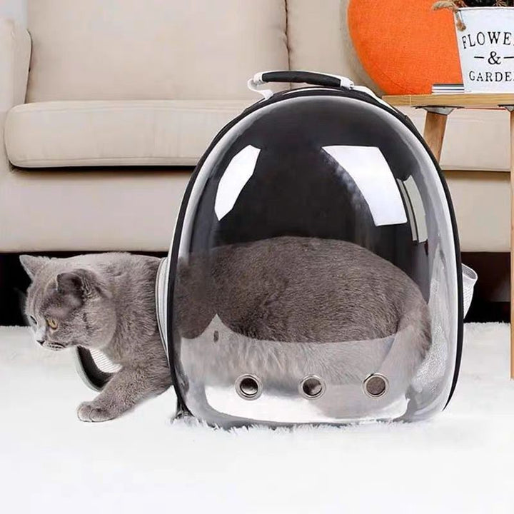 Mochila para transporte de mascotas