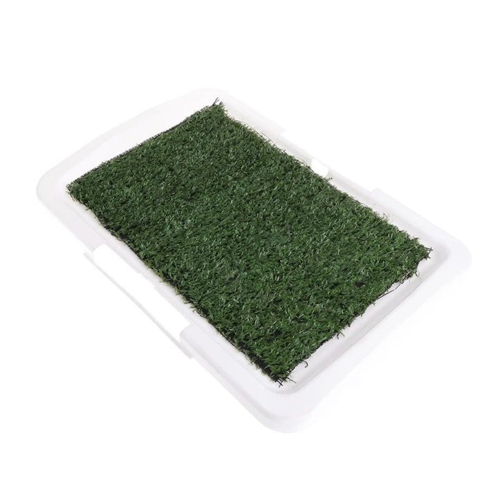 Baño ecológico
