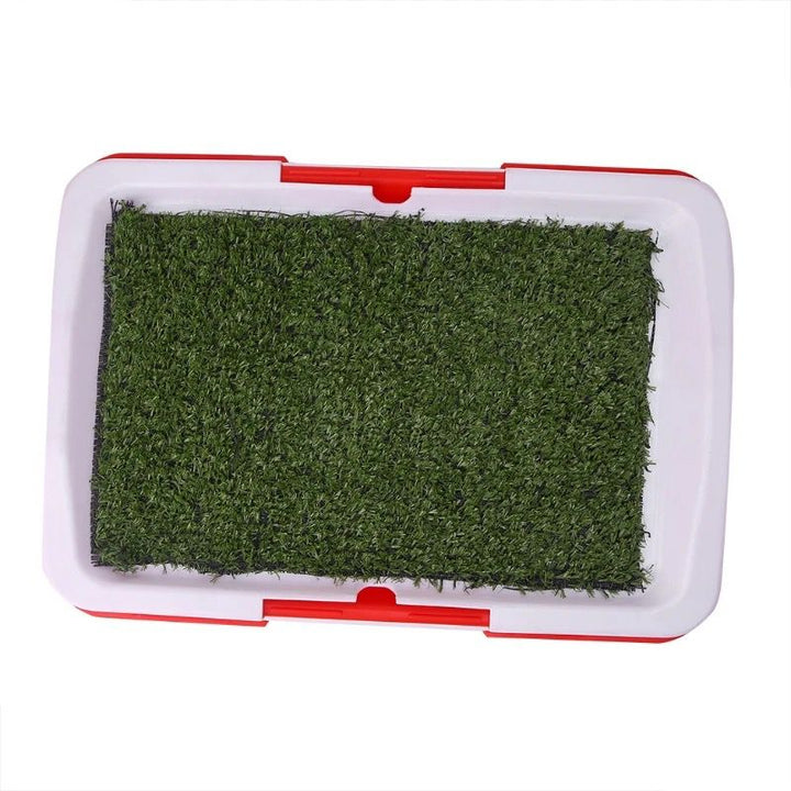 Baño ecológico