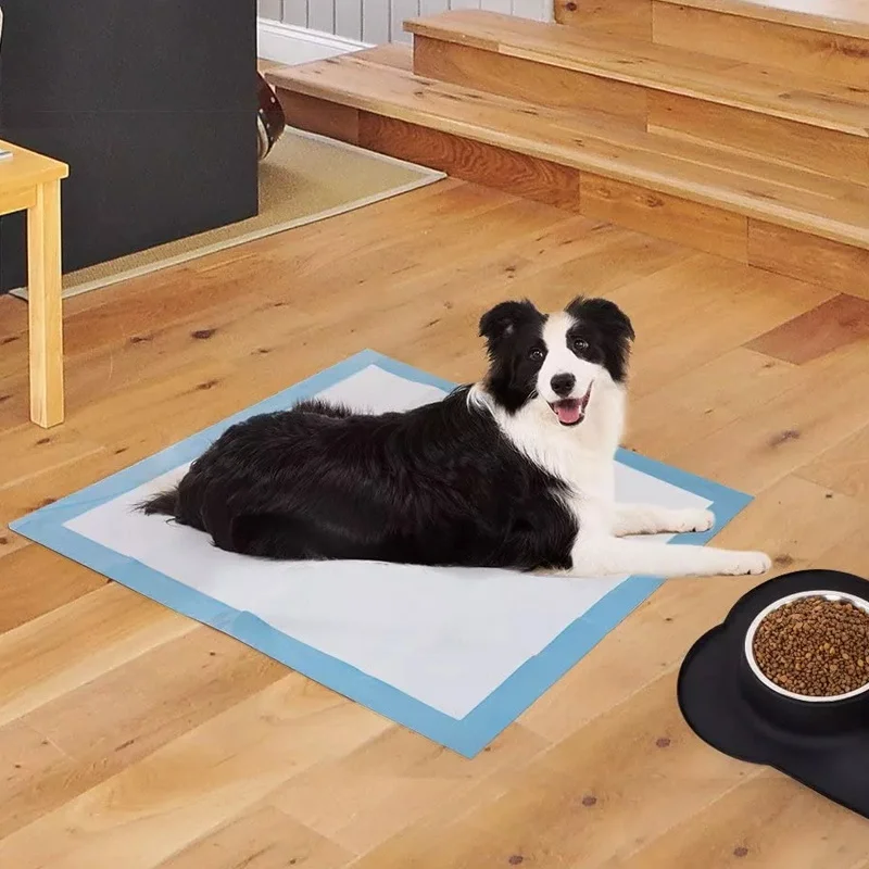 Pañal para perro 50pcs