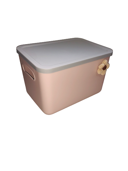 Caja de almacenamiento con tapa