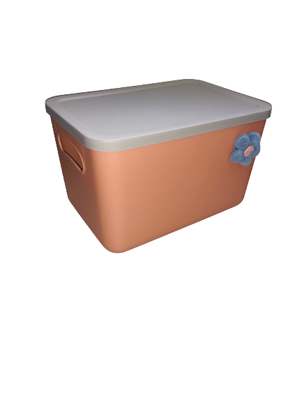 Caja de almacenamiento con tapa