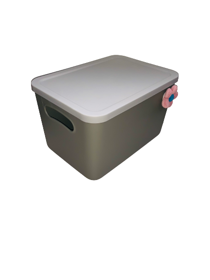 Caja de almacenamiento con tapa