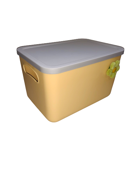 Caja de almacenamiento con tapa