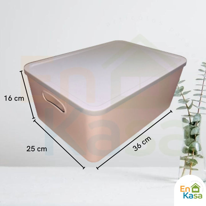 Caja de almacenamiento con tapa